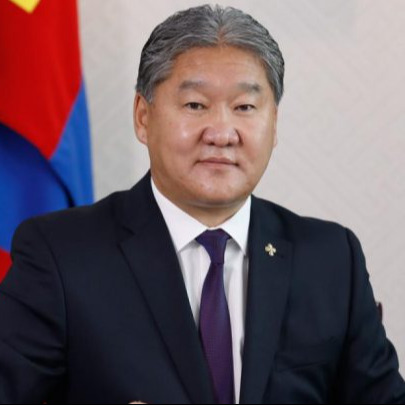 ТӨЛӨӨЛӨН УДИРДАХ ЗӨВЛӨЛИЙН ГИШҮҮН Р.ДАВГА
